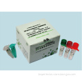 Influenza A Subtype H1N1 (2009) Virus Real Time PCR Kit